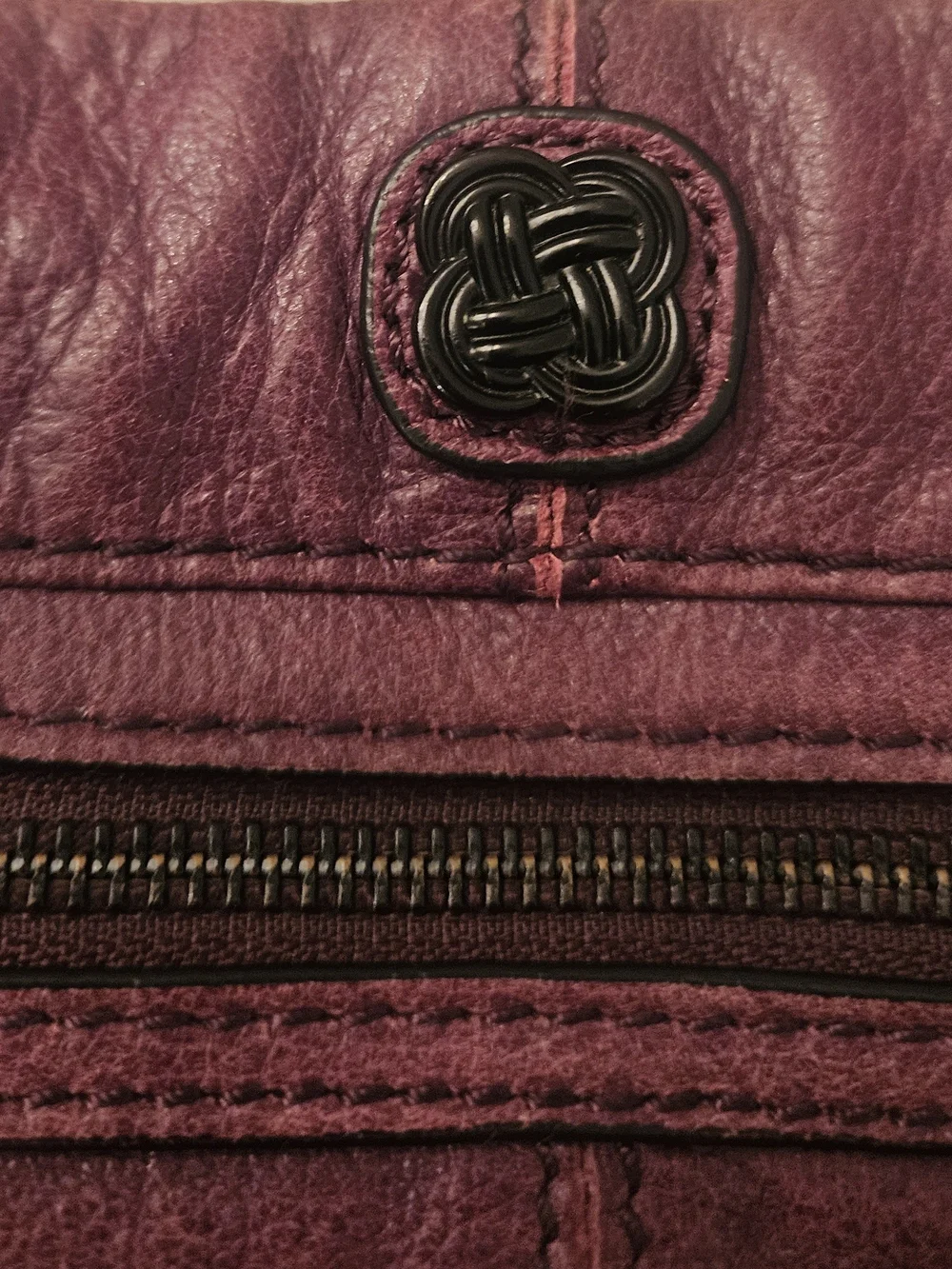Elliot Lucca Leather Crossbody Bag in Deep Burgundy